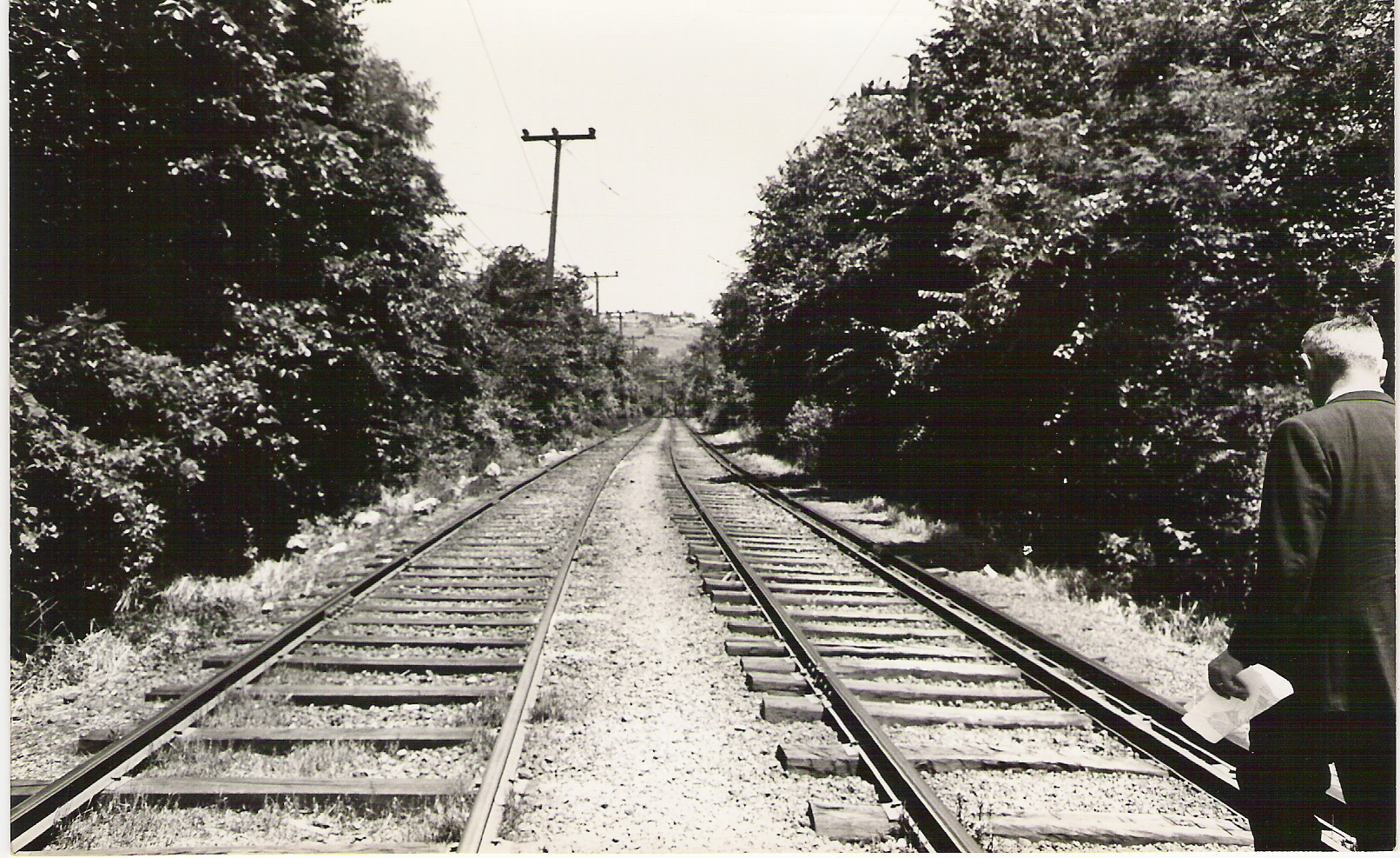 1965: Between Linden Grove and Killarney